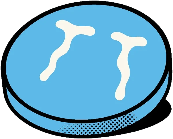 The crying coin